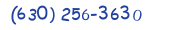 Contacts Phone number