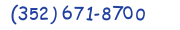 Contacts Phone number