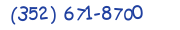 Contacts Phone number