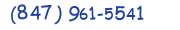 Contacts Phone number