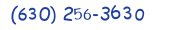 Contacts Phone number