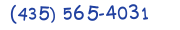 Contacts Phone number