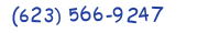 Contacts Phone number