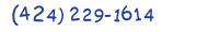 Contacts Phone number