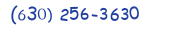 Contacts Phone number