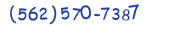 Contacts Phone number