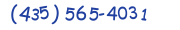 Contacts Phone number
