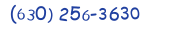 Contacts Phone number