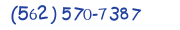 Contacts Phone number
