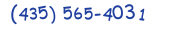 Contacts Phone number