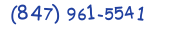 Contacts Phone number
