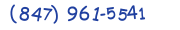 Contacts Phone number