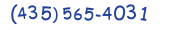 Contacts Phone number