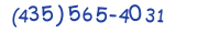 Contacts Phone number