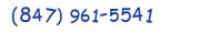 Contacts Phone number