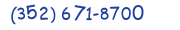 Contacts Phone number