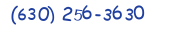 Contacts Phone number