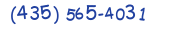 Contacts Phone number