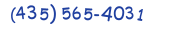 Contacts Phone number