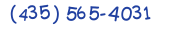 Contacts Phone number