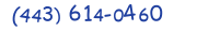 Contacts Phone number