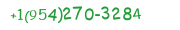Contact Whatsapp