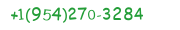 Contact Whatsapp